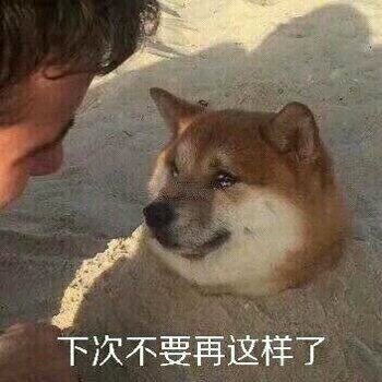 下次不要在这样了微信表情包