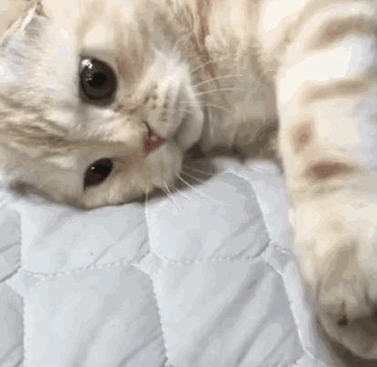 微信近期斗图恶搞表情2020/9/14（二）