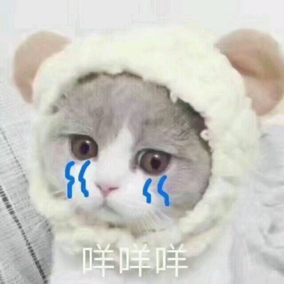 微信近期斗图恶搞表情2020/9/14（二）