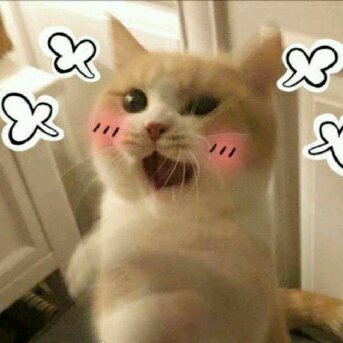 偷亲微信聊天表情包