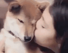 头大微信聊天表情包