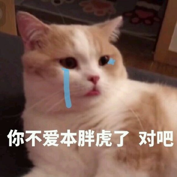 偷亲微信聊天表情包