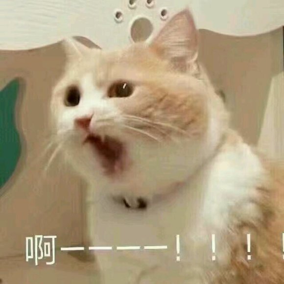 微信近期斗图恶搞表情2020/9/14（二）