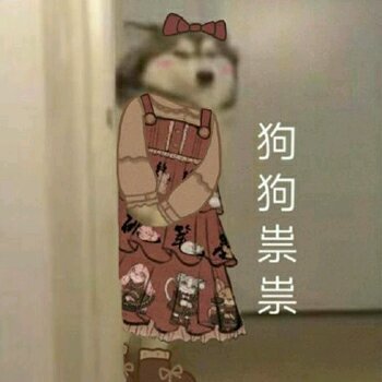 下次不要在这样了微信表情包