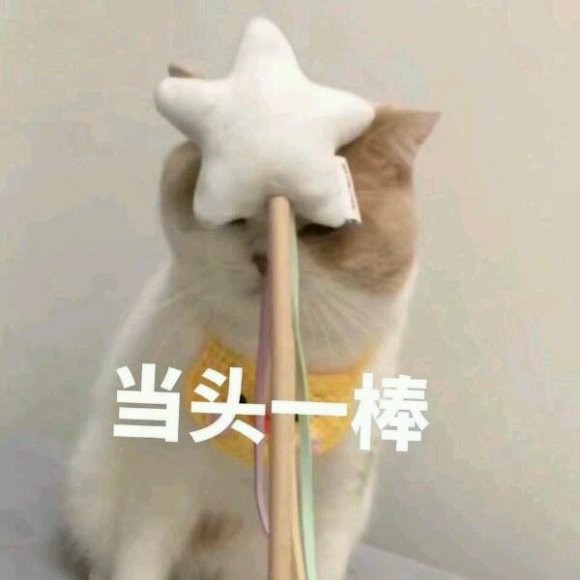 微信近期斗图恶搞表情2020/9/14（二）