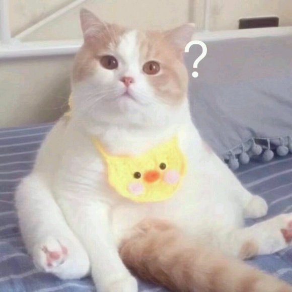 微信近期斗图恶搞表情2020/9/14（二）