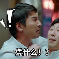 热播电视剧平凡的荣耀微信表情包