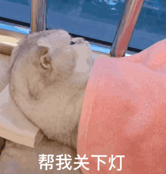 微信近期斗图恶搞表情2020/9/15