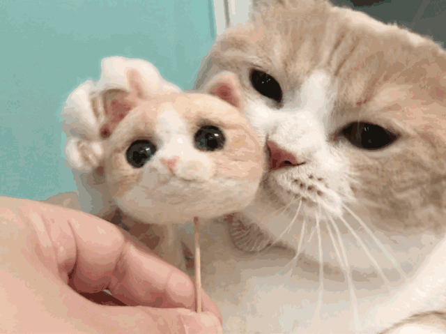 微信近期斗图恶搞表情2020/9/15