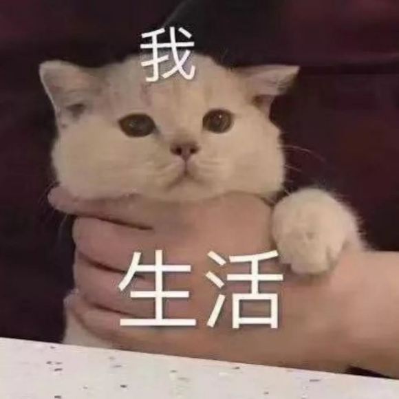 微信近期斗图恶搞表情2020/9/15