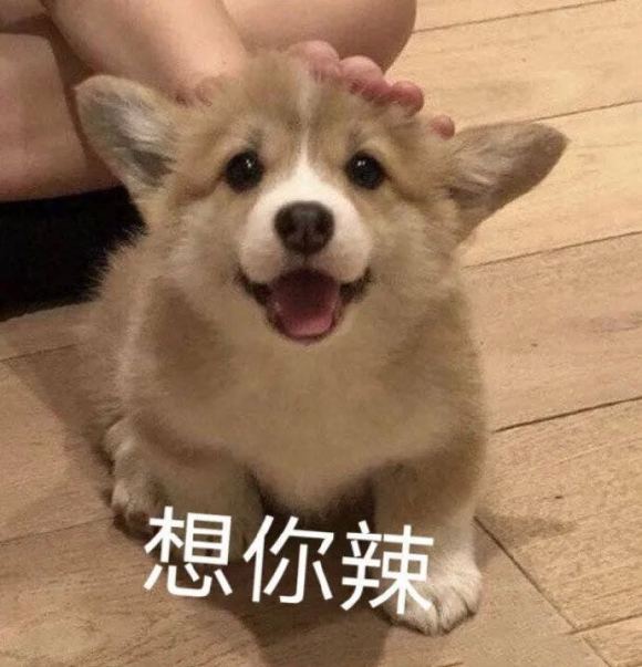 你醒啦微信聊天表情包