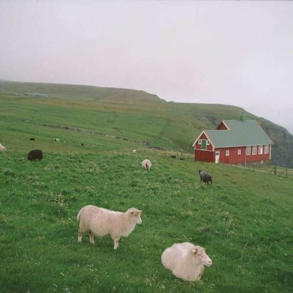 微信简洁朋友圈配图