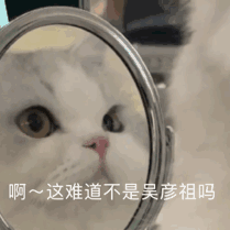 微信近期斗图恶搞表情2020/9/15