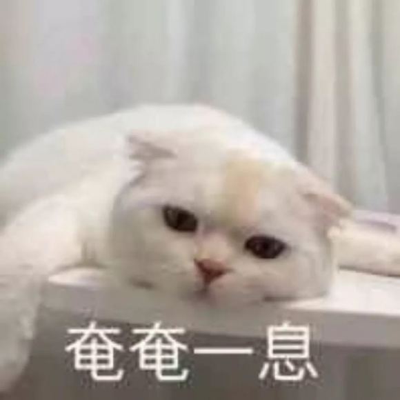 微信近期斗图恶搞表情2020/9/15