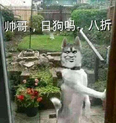 你醒啦微信聊天表情包