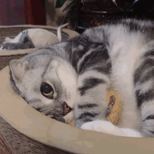 微信近期斗图恶搞表情2020/9/15