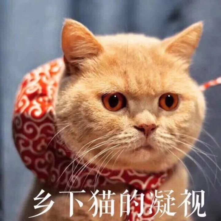 没看见微信聊天表情包