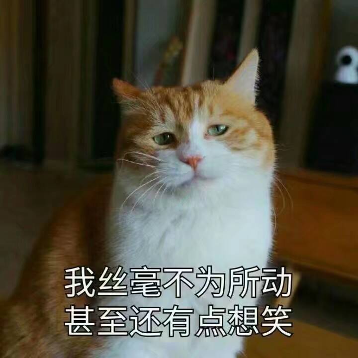 没看见微信聊天表情包
