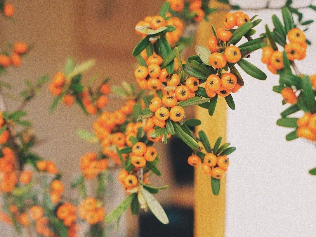 微信治愈暖色女生朋友圈配图