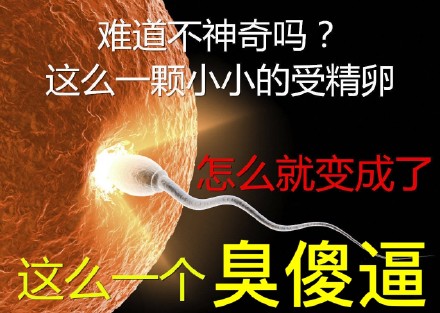 微信给爷死聊天表情包