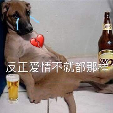 你醒啦微信聊天表情包