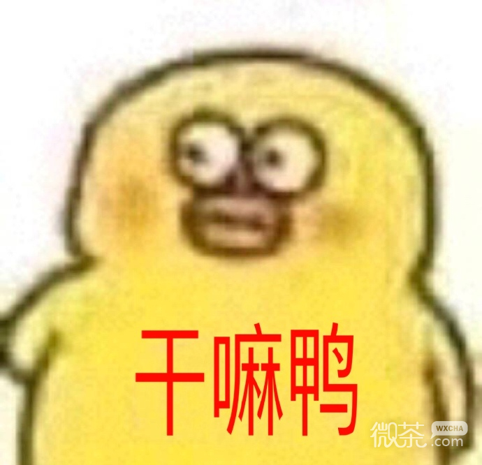 打招呼微信表情包