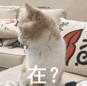 打招呼微信表情包
