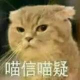 一脸天真微信聊天表情包