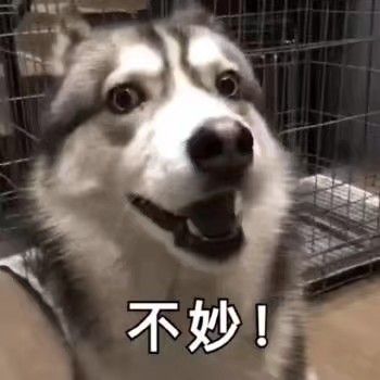 一脸天真微信聊天表情包