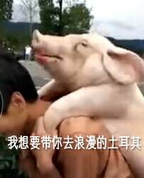 微信近期斗图恶搞表情2020/9/16(二)