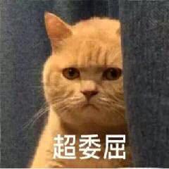 可靠微信斗图表情包