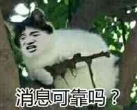 可靠微信斗图表情包