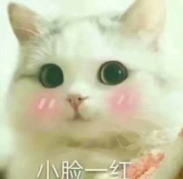 微信开心聊天表情包