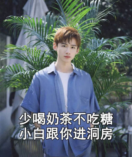 明星粉丝之间的搞笑微信表情包