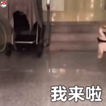 微信近期斗图恶搞表情2020/9/17（二）