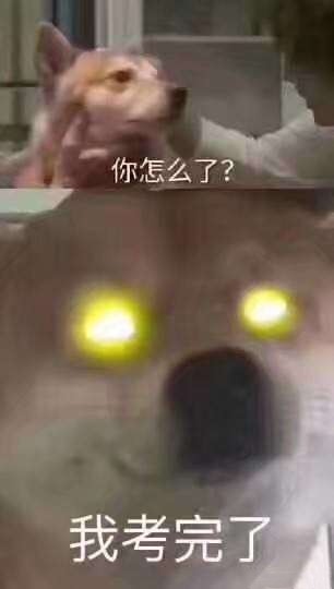 安排，微信聊天表情包