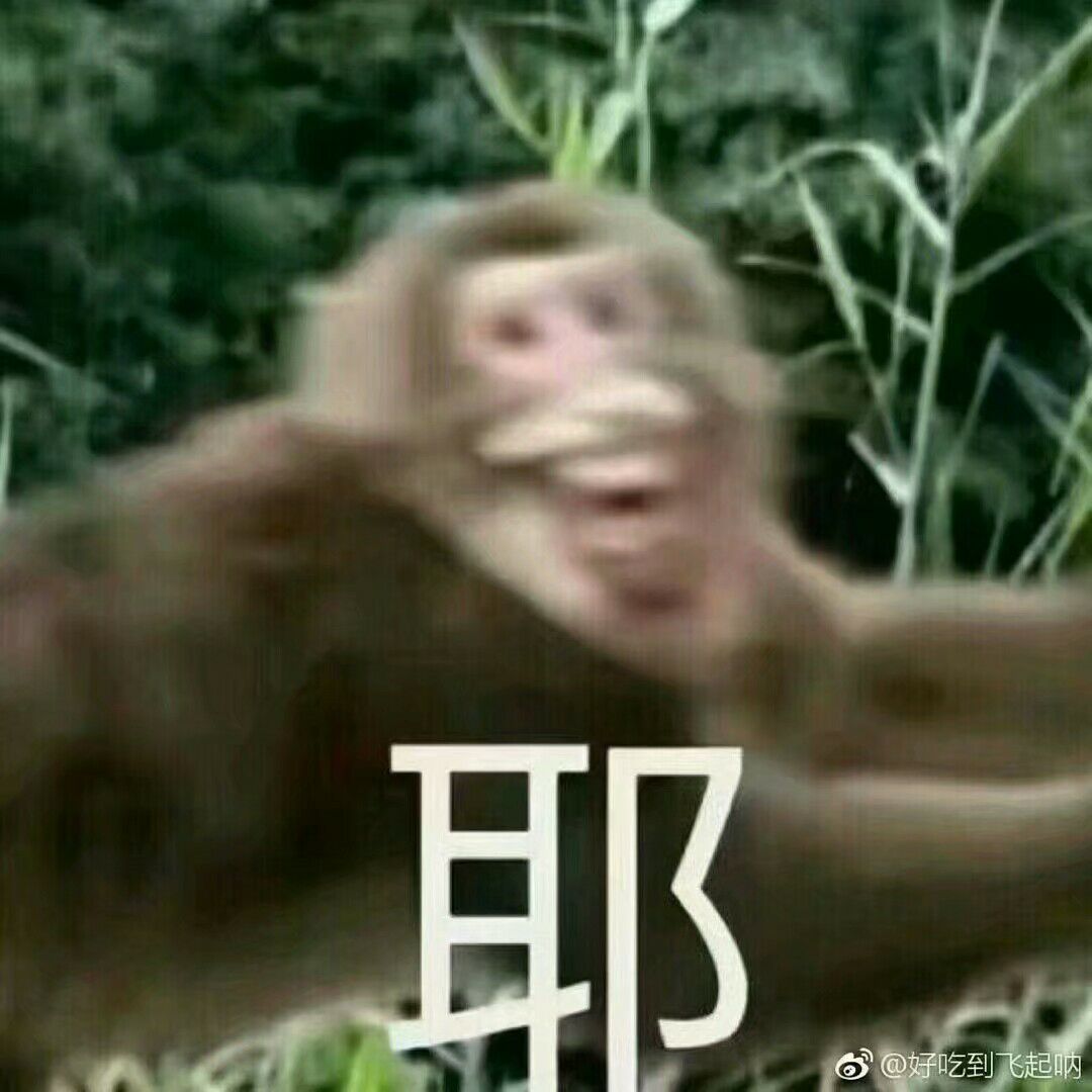 笑死，微信聊天斗图表情包