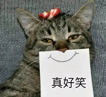 随缘微信聊天表情包