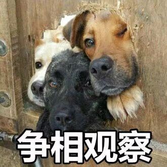 痴迷微信聊天表情包