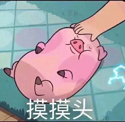 随缘微信聊天表情包