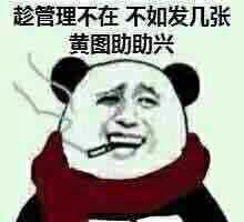 痴迷微信聊天表情包