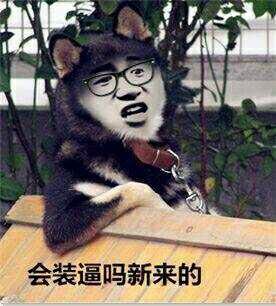 随缘微信聊天表情包