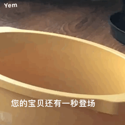 痴迷微信聊天表情包