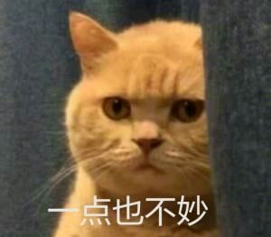 安排，微信聊天表情包