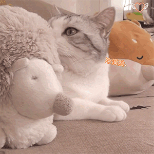 微信近期斗图恶搞表情2020/9/17（二）