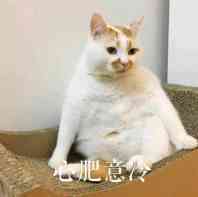 随缘微信聊天表情包