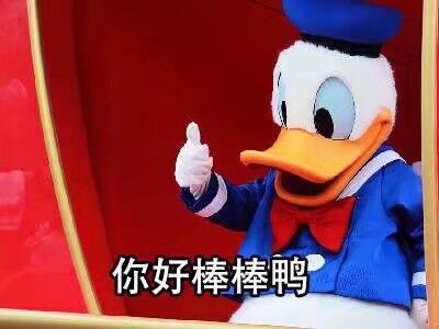 随缘微信聊天表情包