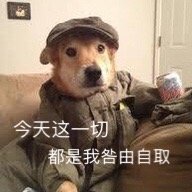 安排，微信聊天表情包