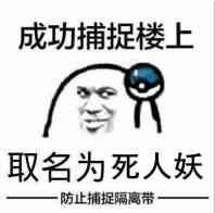 随缘微信聊天表情包