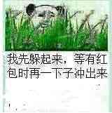 微信近期斗图恶搞表情2020/9/17（二）